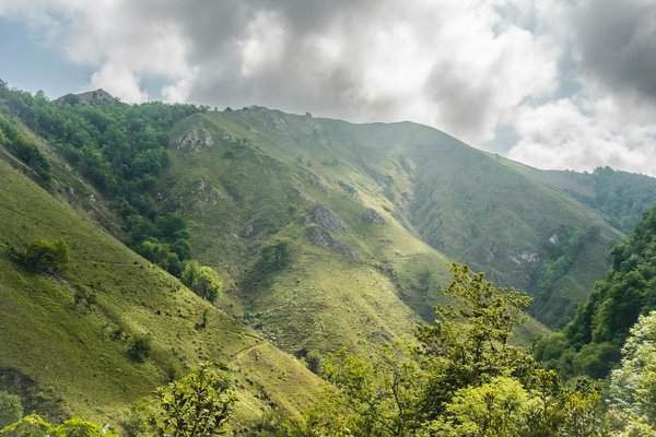 Uncover Scotland's Top Birdwatching Destinations: Your Enthusiastic Guide to the Borders' Stunning Wildlife Retreats